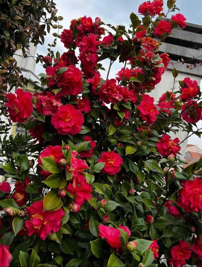 Giresio 41 - Your Penthouse With Rooftop Garden In Milano Navigli - Wifi Exteriör bild